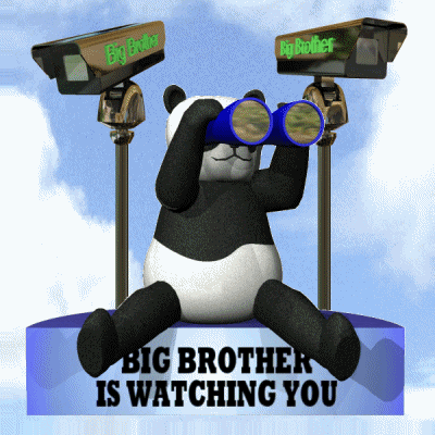 Gif named big brother