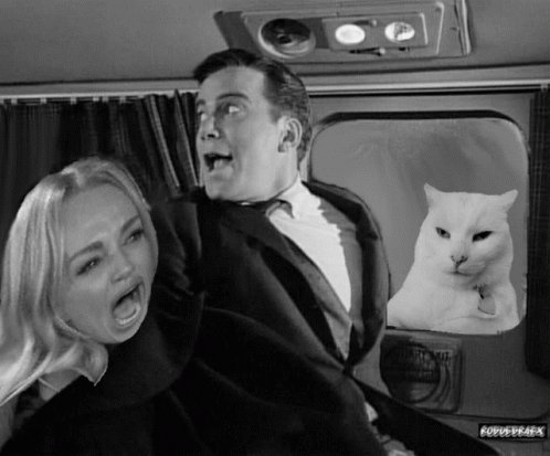 Gif named Catner