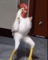 Gif named chicken dance