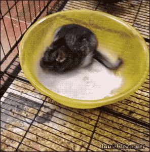 Gif named cocaine-6