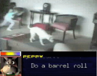 Gif named do a barrel roll