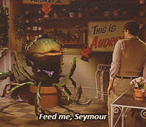 Gif named feed me Seymour