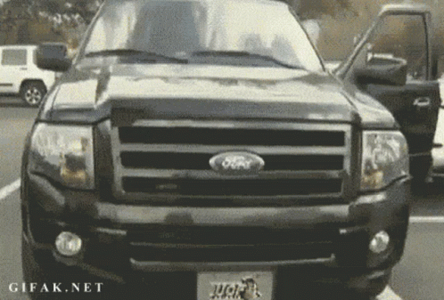 Gif named Ford owl