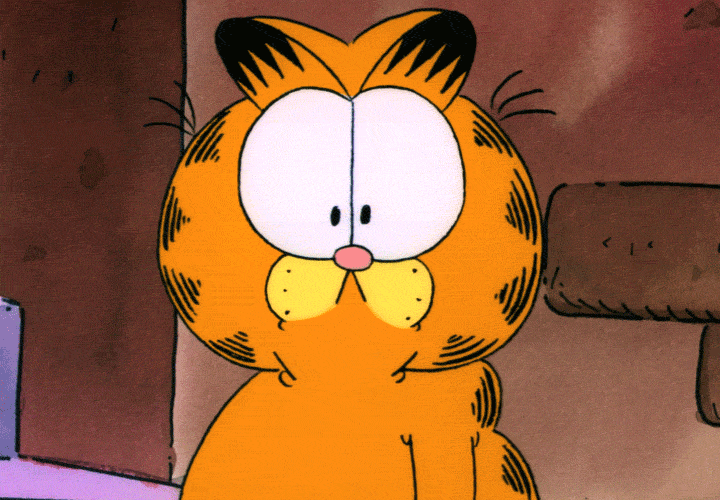 Gif named garfield confused