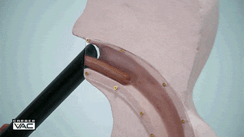 Gif named hot dog vaccum