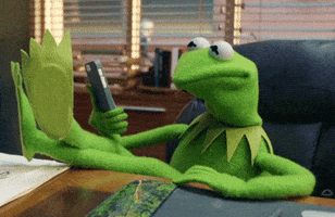Gif named Kermit shaking his head