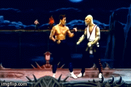 Gif named Liu Kang punches