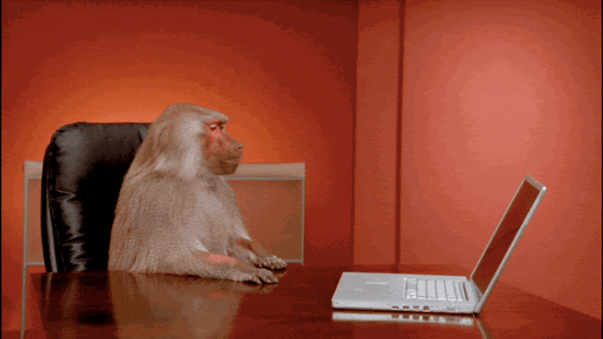 Gif named monkey-computer-throw