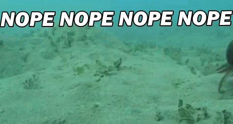 Gif named nopetopus
