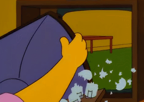 Gif named nothing-but-cats