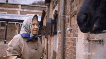 Gif named queen upvote