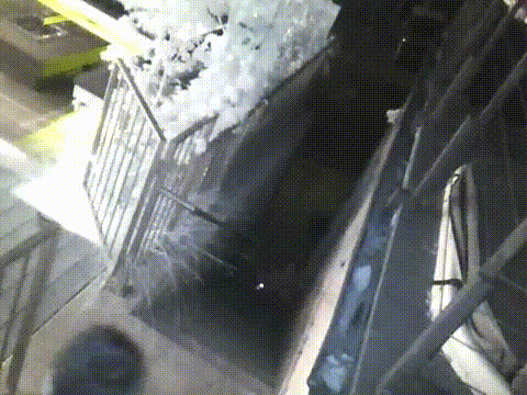 Gif named raccoontoss