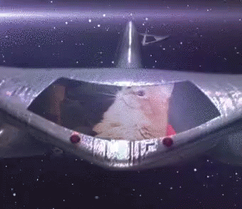 Gif named spaceship-cat