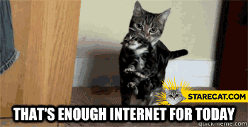 Gif named thats-enough-internet-for-today-cats