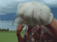 Gif named the price is wrong bitch