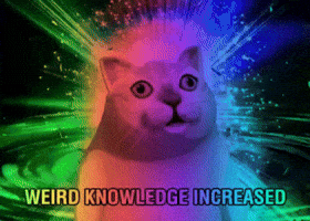 Gif named weird knowledge increased